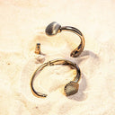 Anadara Brasiliana Bracelet